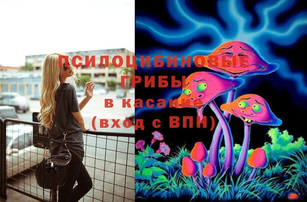 mdma Кукмор