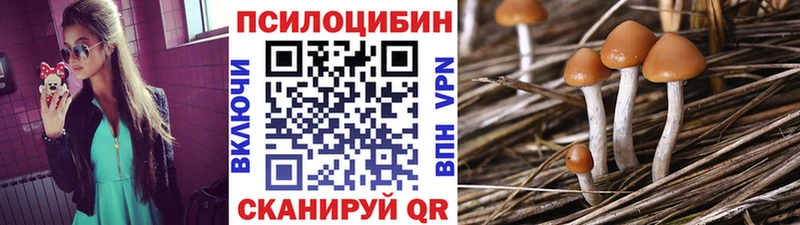 Галлюциногенные грибы ЛСД  Купить где  Вязьма 